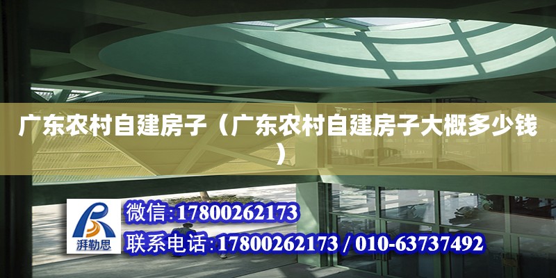 廣東農村自建房子（廣東農村自建房子大概多少錢） 鋼結構網架設計