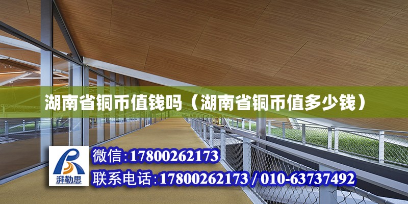 湖南省銅幣值錢嗎（湖南省銅幣值多少錢） 鋼結(jié)構(gòu)網(wǎng)架設(shè)計(jì)