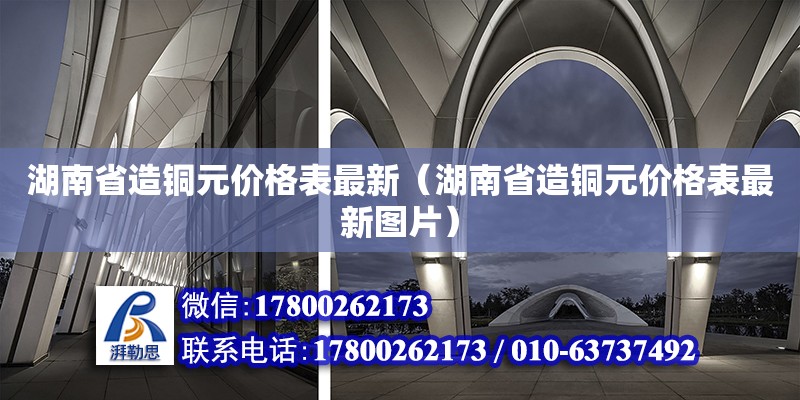 湖南省造銅元價格表最新（湖南省造銅元價格表最新圖片） 鋼結(jié)構(gòu)網(wǎng)架設(shè)計