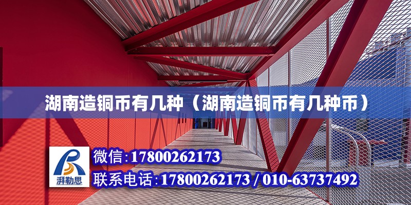 湖南造銅幣有幾種（湖南造銅幣有幾種幣）