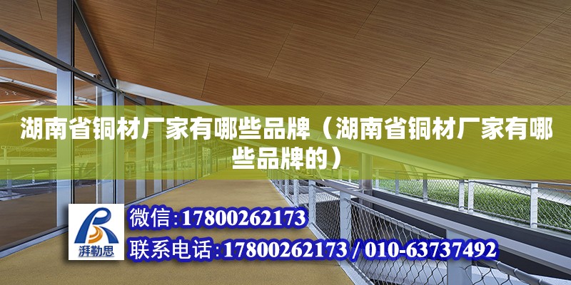 湖南省銅材廠家有哪些品牌（湖南省銅材廠家有哪些品牌的） 鋼結(jié)構(gòu)網(wǎng)架設計