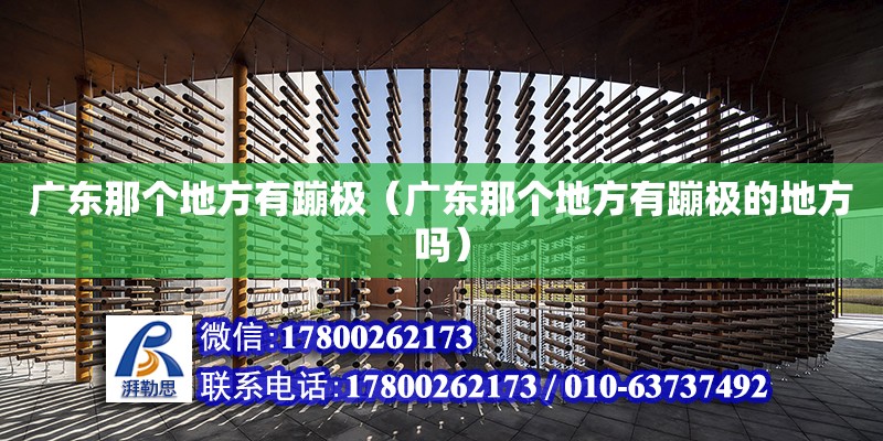 廣東那個地方有蹦極（廣東那個地方有蹦極的地方嗎） 鋼結構網架設計