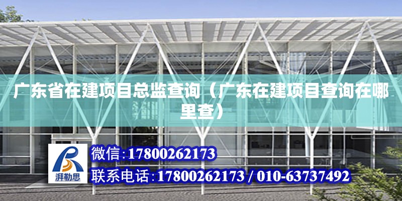 廣東省在建項目總監查詢（廣東在建項目查詢在哪里查） 鋼結構網架設計