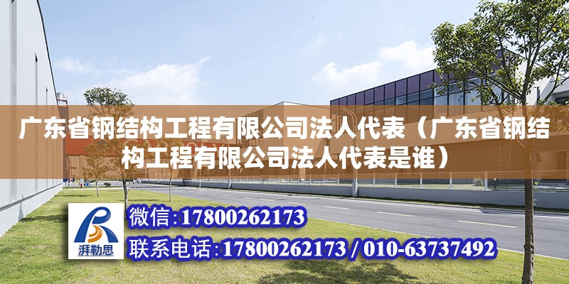 廣東省鋼結構工程有限公司法人代表（廣東省鋼結構工程有限公司法人代表是誰） 鋼結構網架設計