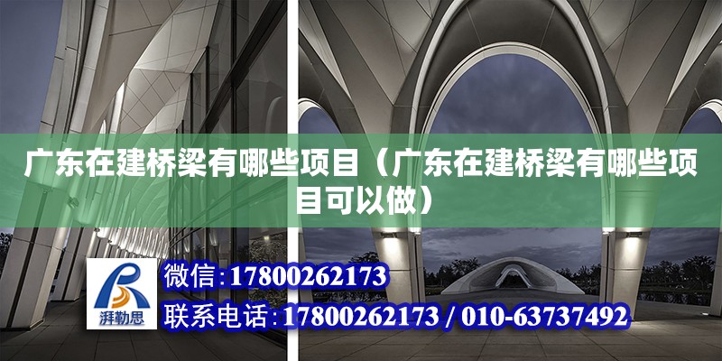 廣東在建橋梁有哪些項目（廣東在建橋梁有哪些項目可以做）