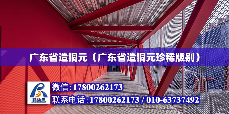 廣東省造銅元（廣東省造銅元珍稀版別）