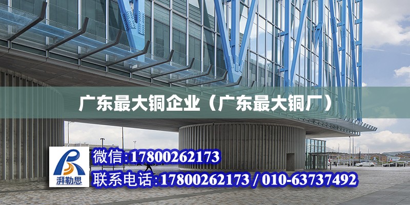 廣東最大銅企業（廣東最大銅廠）