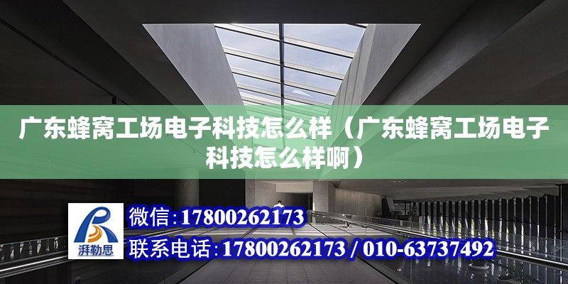 廣東蜂窩工場電子科技怎么樣（廣東蜂窩工場電子科技怎么樣啊）