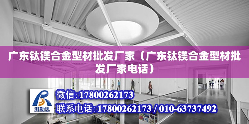 廣東鈦鎂合金型材批發廠家（廣東鈦鎂合金型材批發廠家電話）