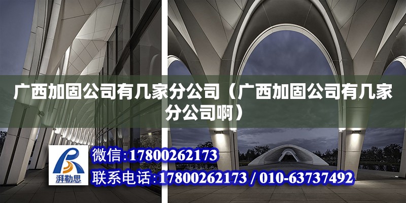 廣西加固公司有幾家分公司（廣西加固公司有幾家分公司啊） 鋼結(jié)構(gòu)網(wǎng)架設(shè)計(jì)