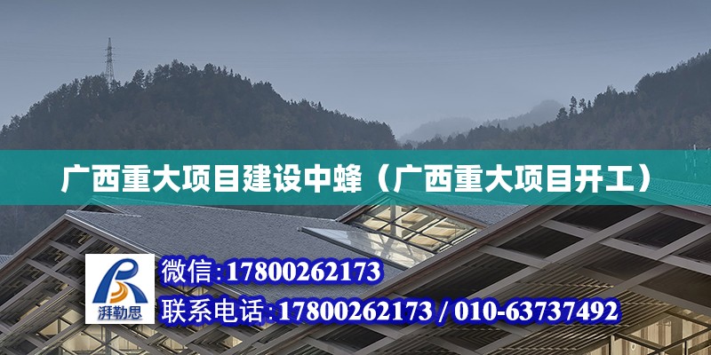 廣西重大項目建設(shè)中蜂（廣西重大項目開工） 鋼結(jié)構(gòu)網(wǎng)架設(shè)計