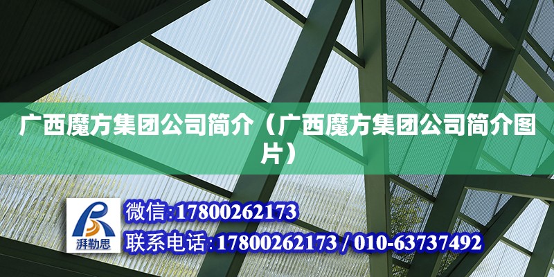 廣西魔方集團(tuán)公司簡(jiǎn)介（廣西魔方集團(tuán)公司簡(jiǎn)介圖片）