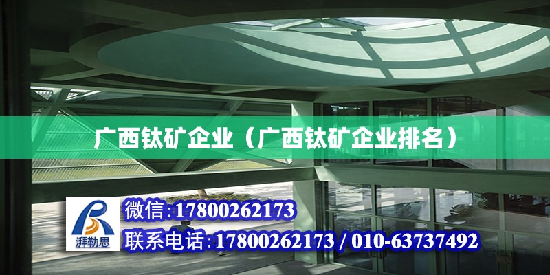 廣西鈦礦企業(yè)（廣西鈦礦企業(yè)排名） 鋼結(jié)構(gòu)網(wǎng)架設(shè)計