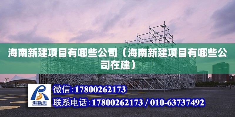 海南新建項目有哪些公司（海南新建項目有哪些公司在建） 鋼結構網架設計