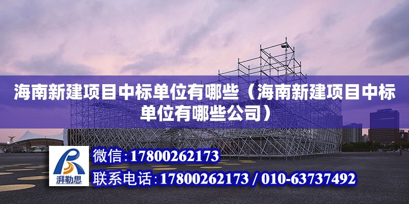 海南新建項目中標單位有哪些（海南新建項目中標單位有哪些公司） 鋼結構網架設計