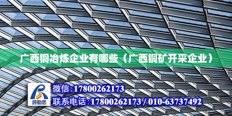 廣西銅冶煉企業有哪些（廣西銅礦開采企業）