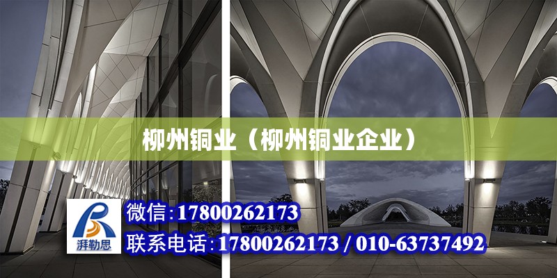 柳州銅業（柳州銅業企業） 鋼結構網架設計