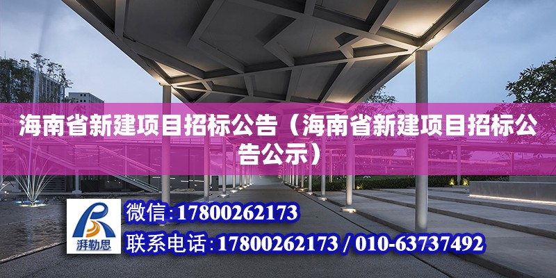 海南省新建項目招標公告（海南省新建項目招標公告公示）