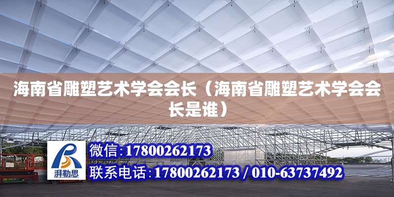 海南省雕塑藝術(shù)學(xué)會(huì)會(huì)長(zhǎng)（海南省雕塑藝術(shù)學(xué)會(huì)會(huì)長(zhǎng)是誰(shuí)）