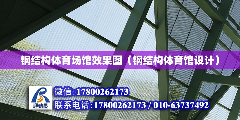 鋼結構體育場館效果圖（鋼結構體育館設計） 結構框架施工