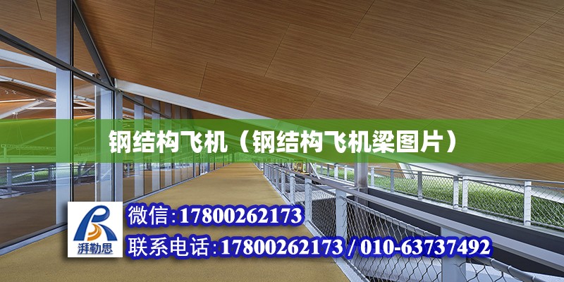 鋼結構飛機（鋼結構飛機梁圖片） 建筑施工圖施工