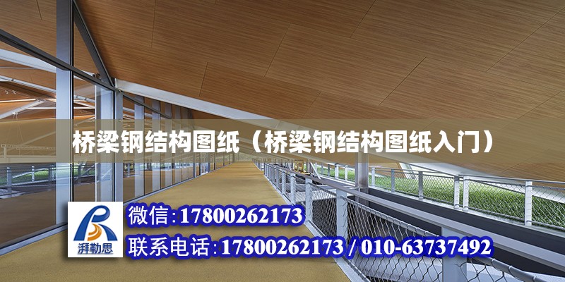 橋梁鋼結構圖紙（橋梁鋼結構圖紙入門） 結構橋梁鋼結構設計