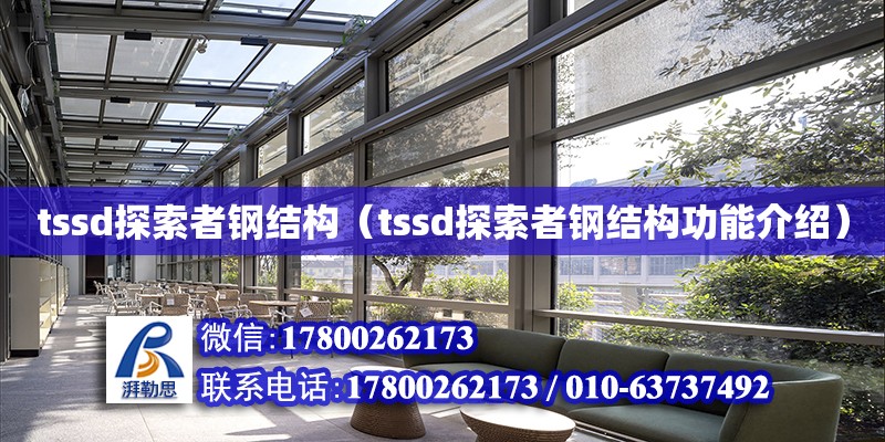 tssd探索者鋼結構（tssd探索者鋼結構功能介紹） 結構橋梁鋼結構施工