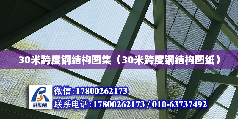 30米跨度鋼結構圖集（30米跨度鋼結構圖紙） 結構工業鋼結構設計