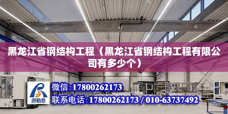 黑龍江省鋼結構工程（黑龍江省鋼結構工程有限公司有多少個）