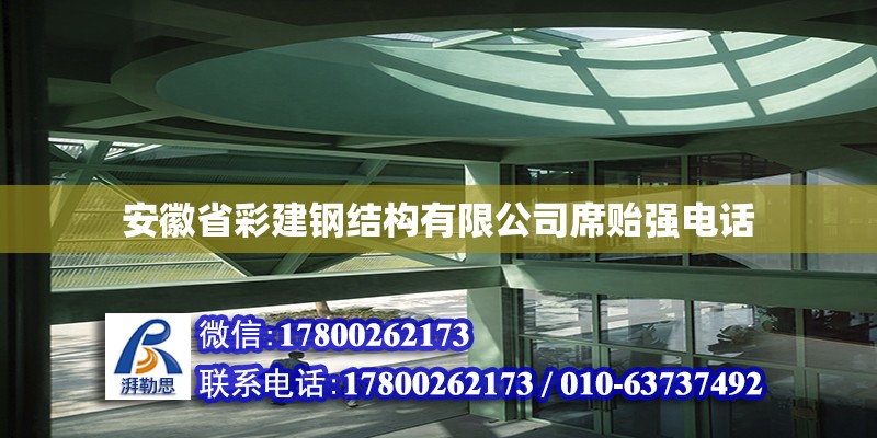 安徽省彩建鋼結構有限公司席貽強** 鋼結構網架施工