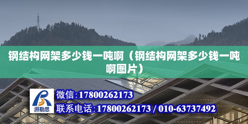 鋼結構網架多少錢一噸啊（鋼結構網架多少錢一噸啊圖片）