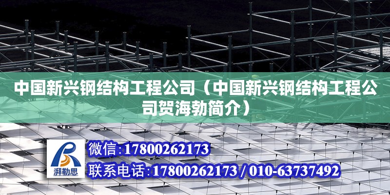 中國新興鋼結(jié)構(gòu)工程公司（中國新興鋼結(jié)構(gòu)工程公司賀海勃簡介） 結(jié)構(gòu)機械鋼結(jié)構(gòu)設(shè)計