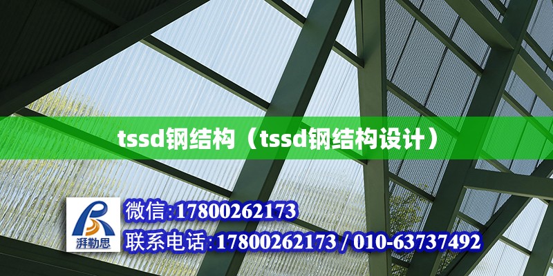 tssd鋼結構（tssd鋼結構設計） 結構工業裝備施工