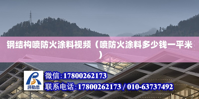 鋼結構噴防火涂料視頻（噴防火涂料多少錢一平米） 鋼結構網架施工