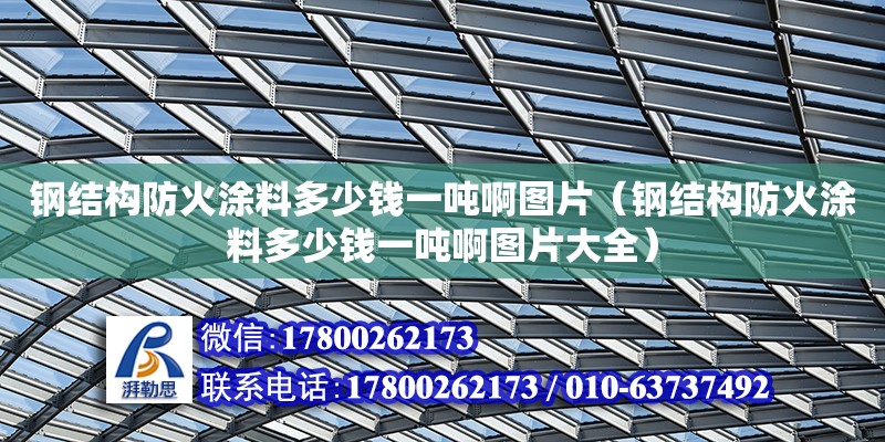 鋼結構防火涂料多少錢一噸啊圖片（鋼結構防火涂料多少錢一噸啊圖片大全）