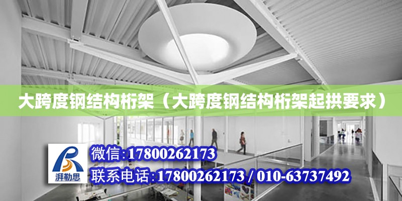 大跨度鋼結構桁架（大跨度鋼結構桁架起拱要求） 結構工業裝備設計