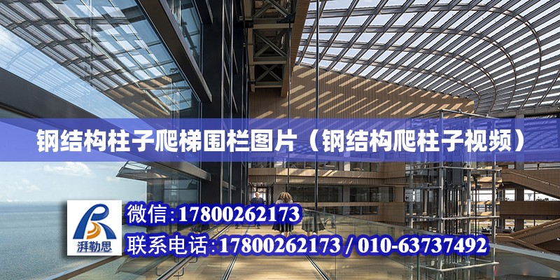 鋼結構柱子爬梯圍欄圖片（鋼結構爬柱子視頻） 結構機械鋼結構設計