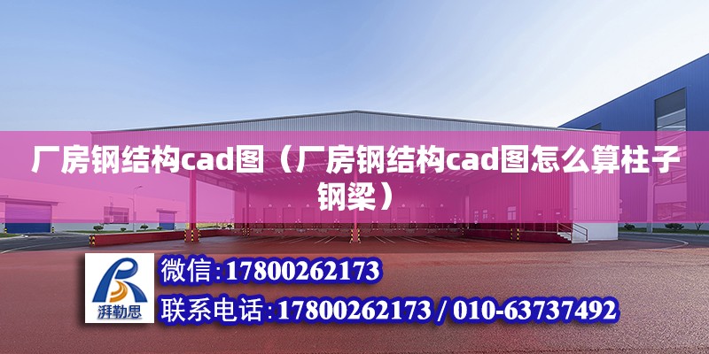 廠房鋼結構cad圖（廠房鋼結構cad圖怎么算柱子鋼梁）