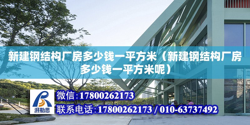 新建鋼結(jié)構(gòu)廠房多少錢(qián)一平方米（新建鋼結(jié)構(gòu)廠房多少錢(qián)一平方米呢）