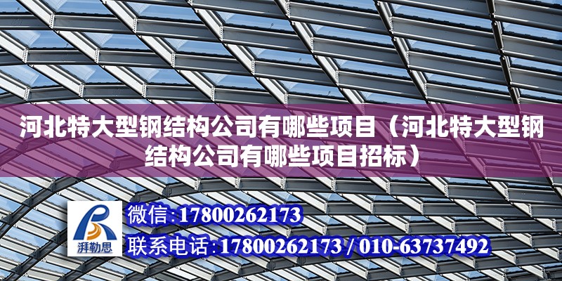 河北特大型鋼結構公司有哪些項目（河北特大型鋼結構公司有哪些項目招標）