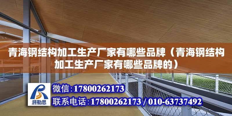 青海鋼結構加工生產廠家有哪些品牌（青海鋼結構加工生產廠家有哪些品牌的）