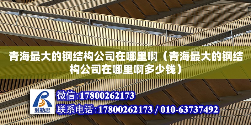 青海最大的鋼結構公司在哪里啊（青海最大的鋼結構公司在哪里啊多少錢）