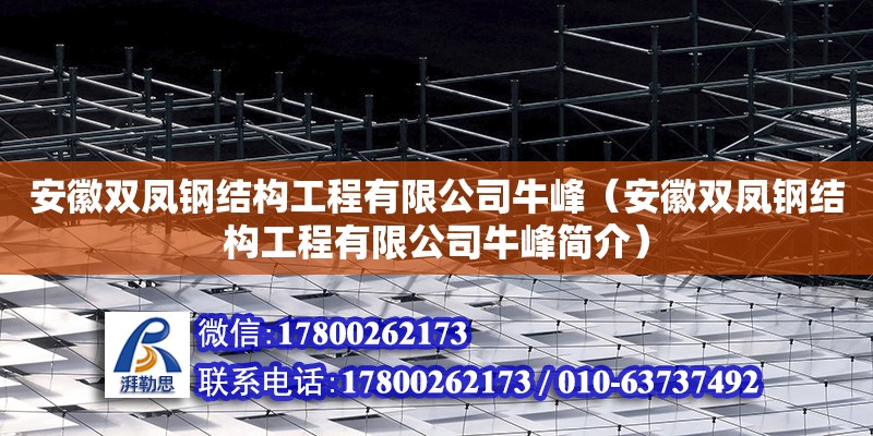 安徽雙鳳鋼結構工程有限公司牛峰（安徽雙鳳鋼結構工程有限公司牛峰簡介）