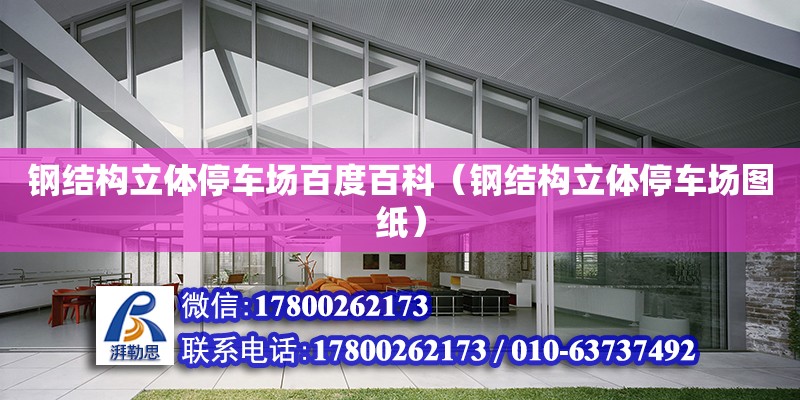 鋼結構立體停車場百度百科（鋼結構立體停車場圖紙） 結構工業鋼結構施工