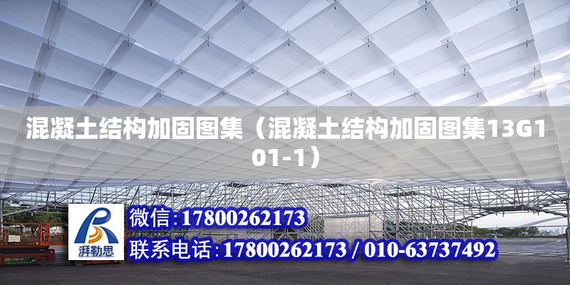 混凝土結構加固圖集（混凝土結構加固圖集13G101-1） 鋼結構網架設計