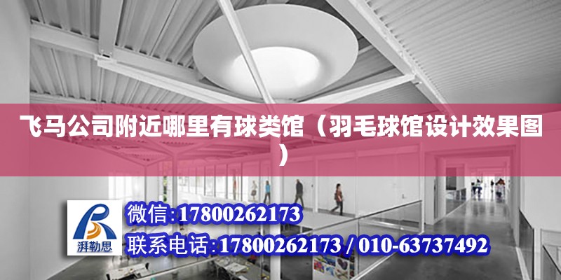 飛馬公司附近哪里有球類館（羽毛球館設計效果圖） 北京加固設計