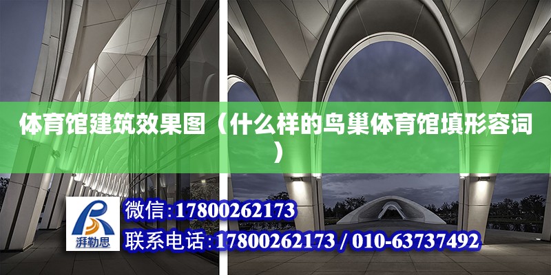 體育館建筑效果圖（什么樣的鳥巢體育館填形容詞）