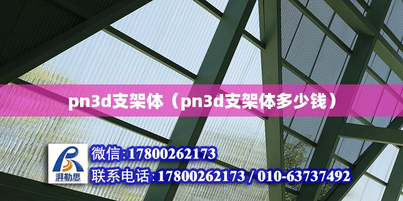 pn3d支架體（pn3d支架體多少錢） 北京加固設計（加固設計公司）