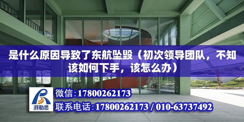 是什么原因導致了東航墜毀（初次領導團隊，不知該如何下手，該怎么辦）