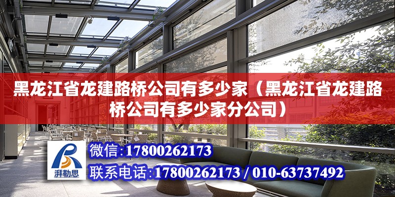 黑龍江省龍建路橋公司有多少家（黑龍江省龍建路橋公司有多少家分公司）